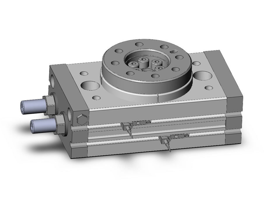 MSQB30A-A96VL-XN Rotary Table
