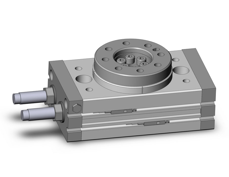 MSQB30R-A93L Rotary Table