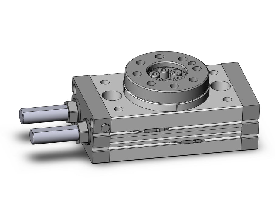 MSQB50R-A93Z Rotary Table