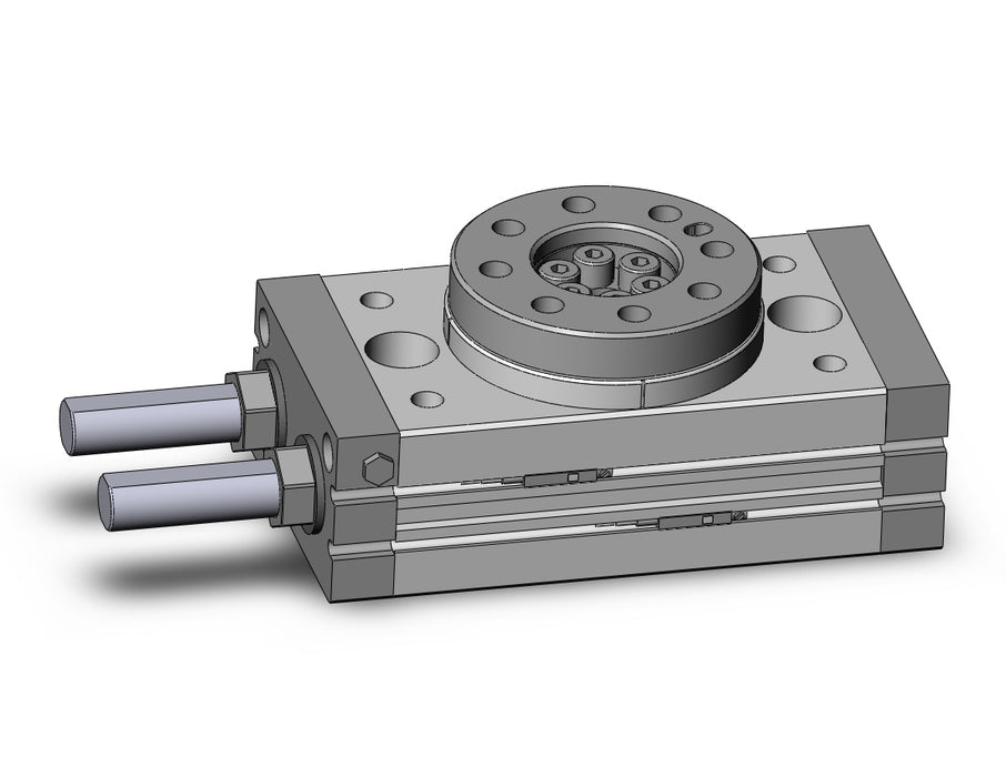MSQB50R-A93 Rotary Table