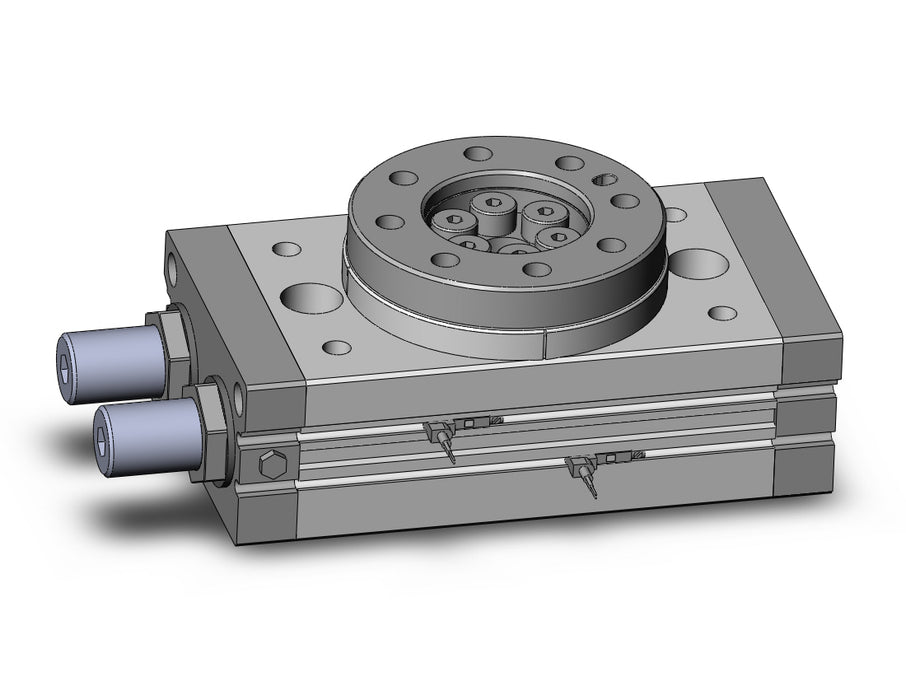 MSQB70A-A93VL Rotary Table