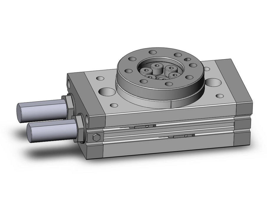 MSQB70R-M9B Rotary Table