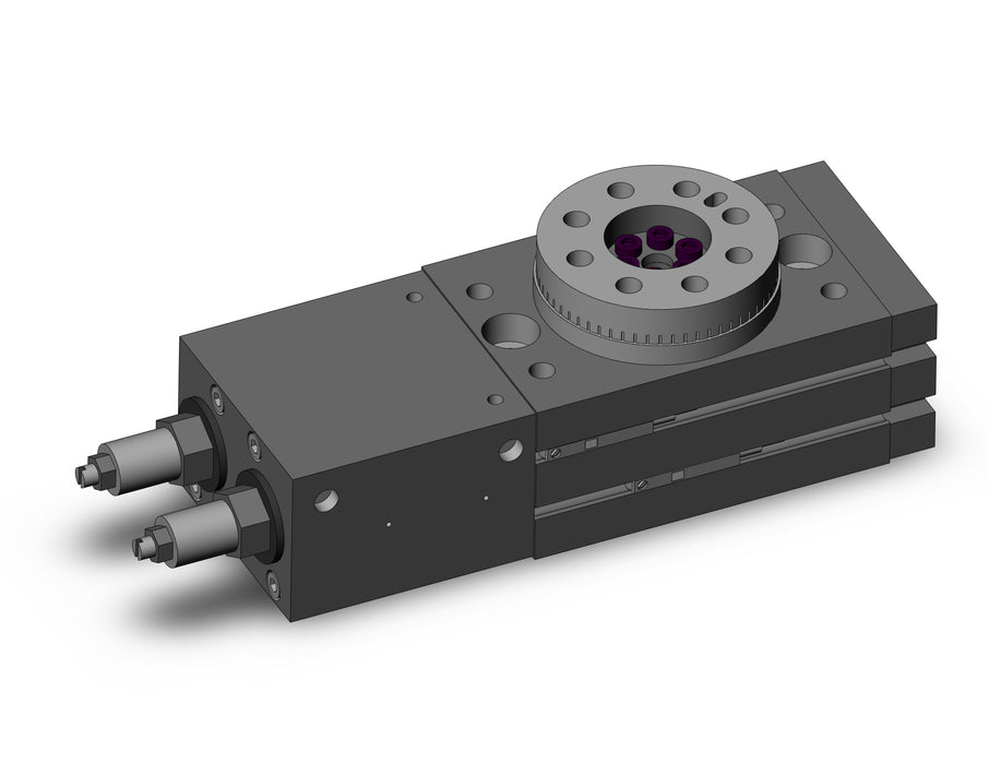 MSZB10A-M9B Rotary Table