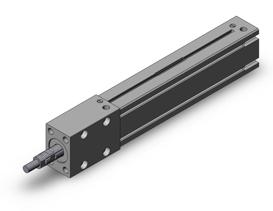 MTS20-100M MTS, Precision Cylinder