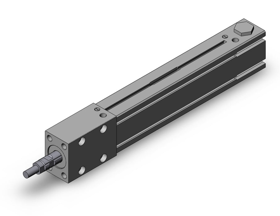 MTS20-100RM MTS, Precision Cylinder