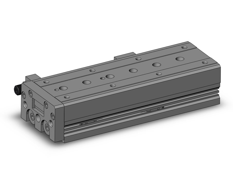 MXS25-125AS-M9BSDPC-X11 Cyl, Air Slide Table