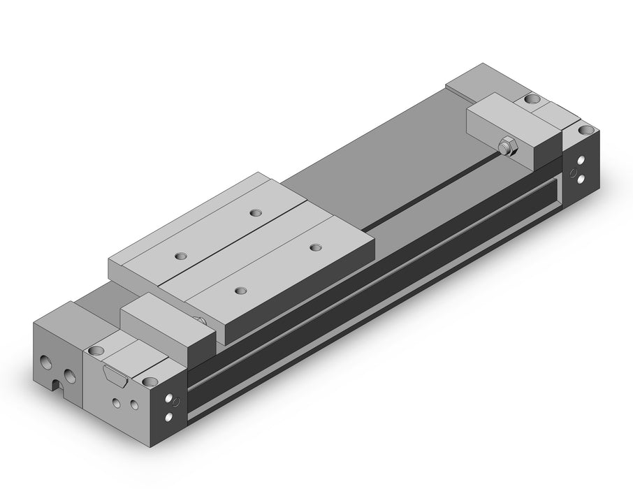 MY1H20-100A Cylinder, Rodless