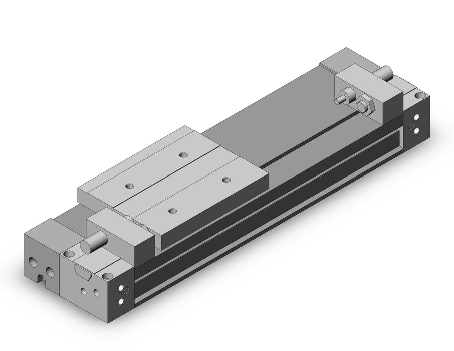 MY1H20-100H Cylinder, Rodless