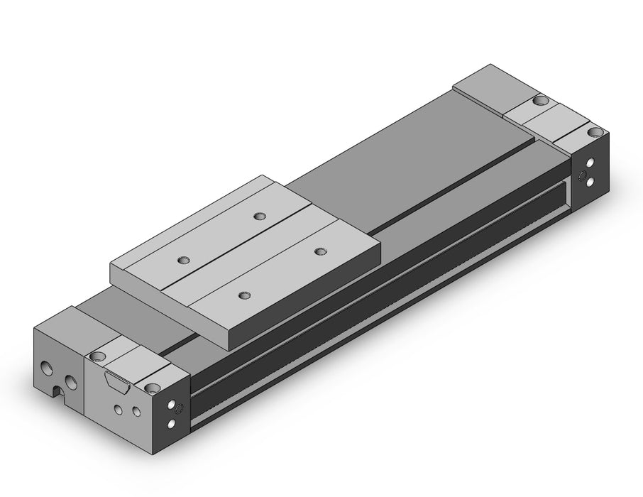 MY1H20G-100 Cylinder, Rodless