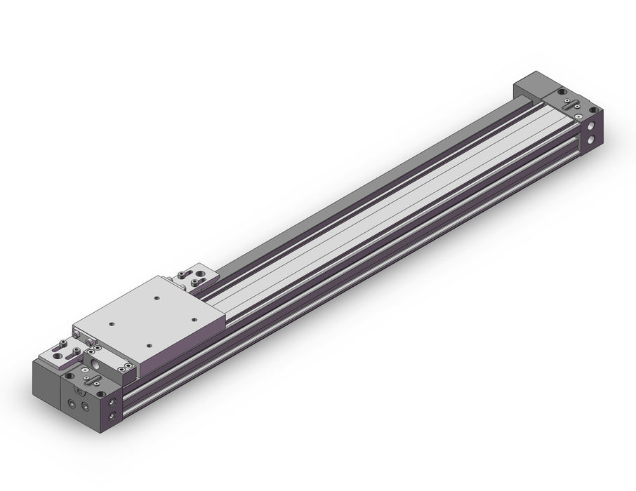 MY1H25TFG-450SAWZ Cylinder, Rodless