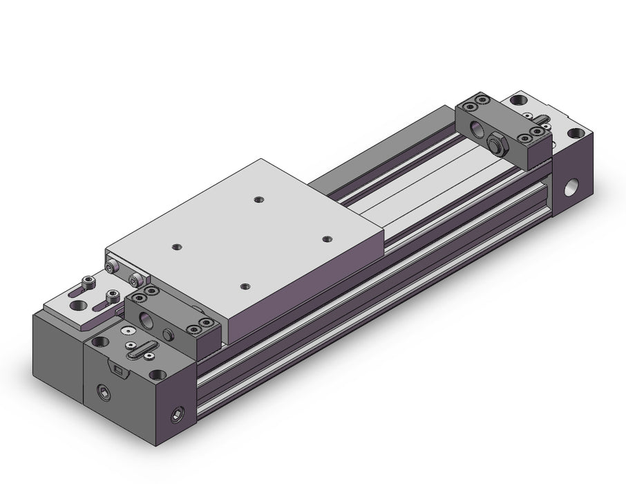 MY1H25TN-100AFZ Cylinder, Rodless