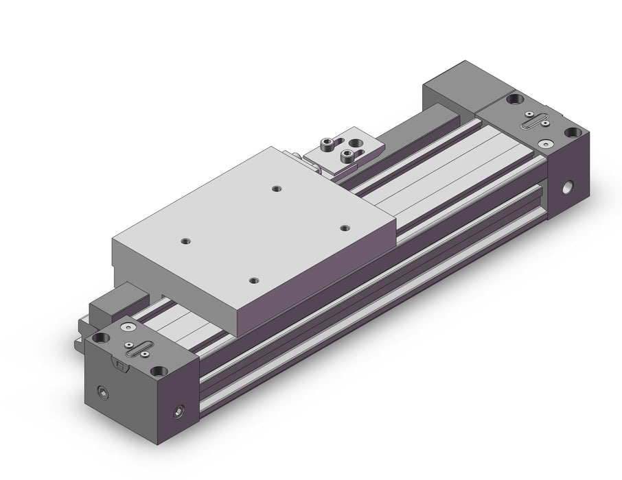 MY1H32TF-100EZ Cylinder, Rodless