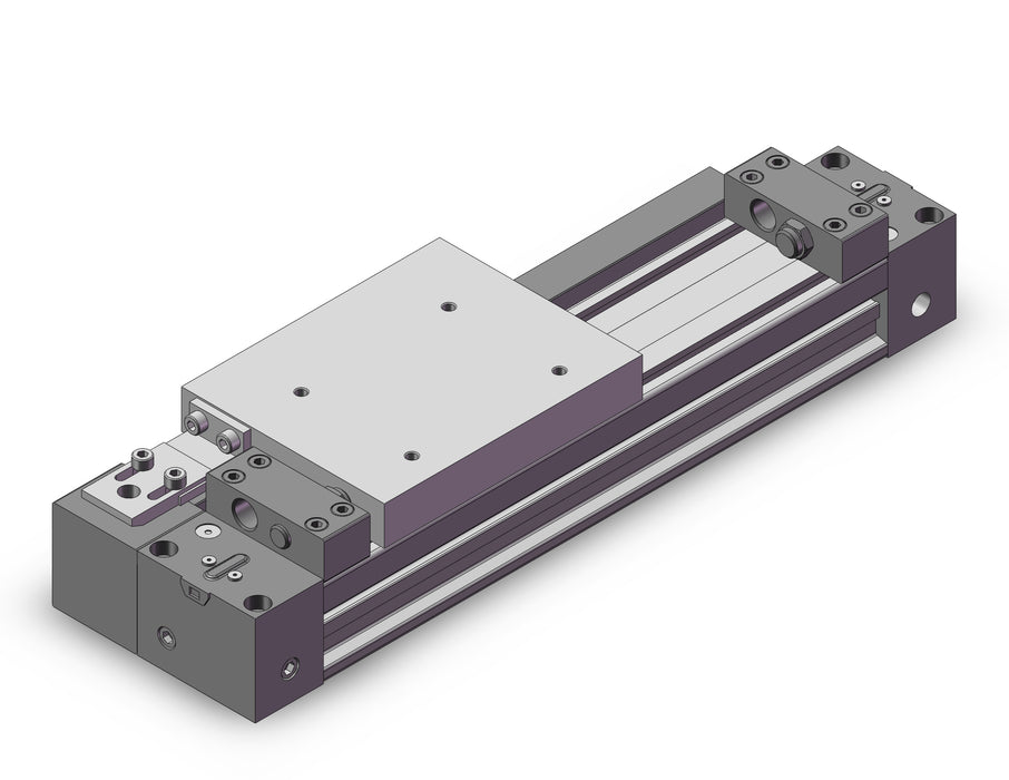 MY1H32TN-100AFZ Cylinder, Rodless