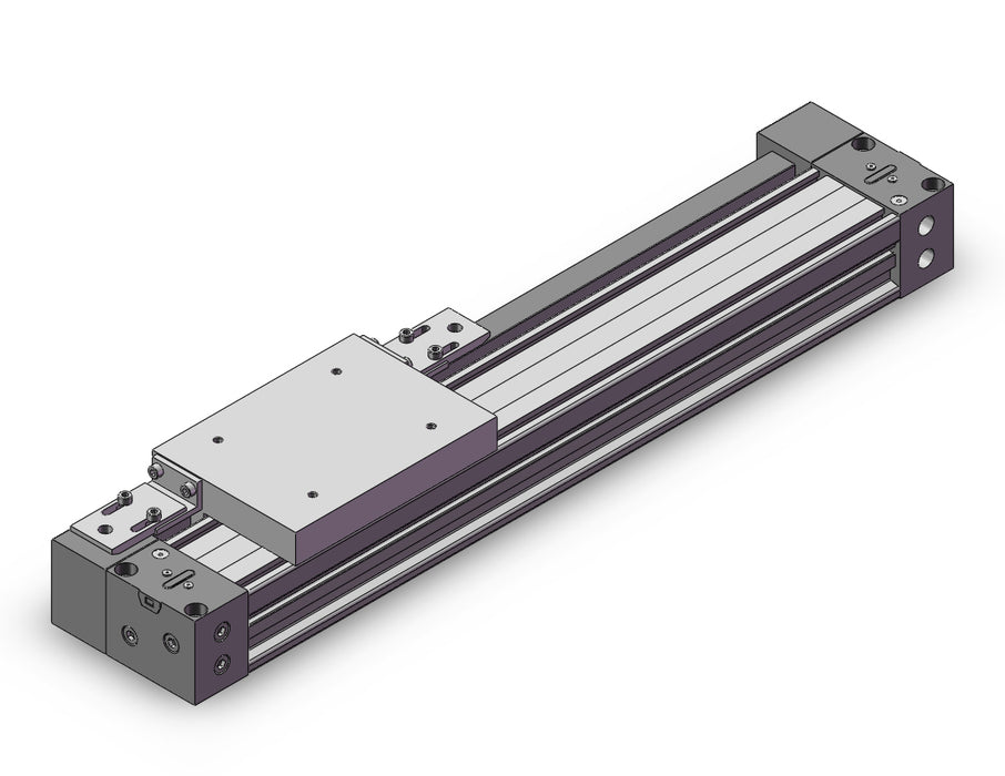 MY1H40G-300WZ Cylinder, Rodless