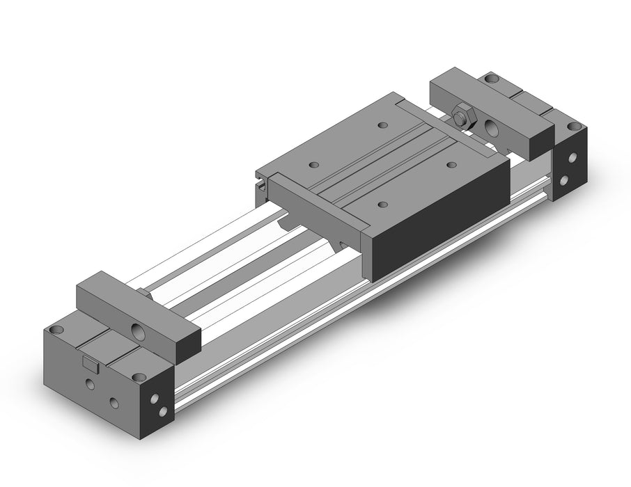MY1M16-100A Slide Bearing Guide Type