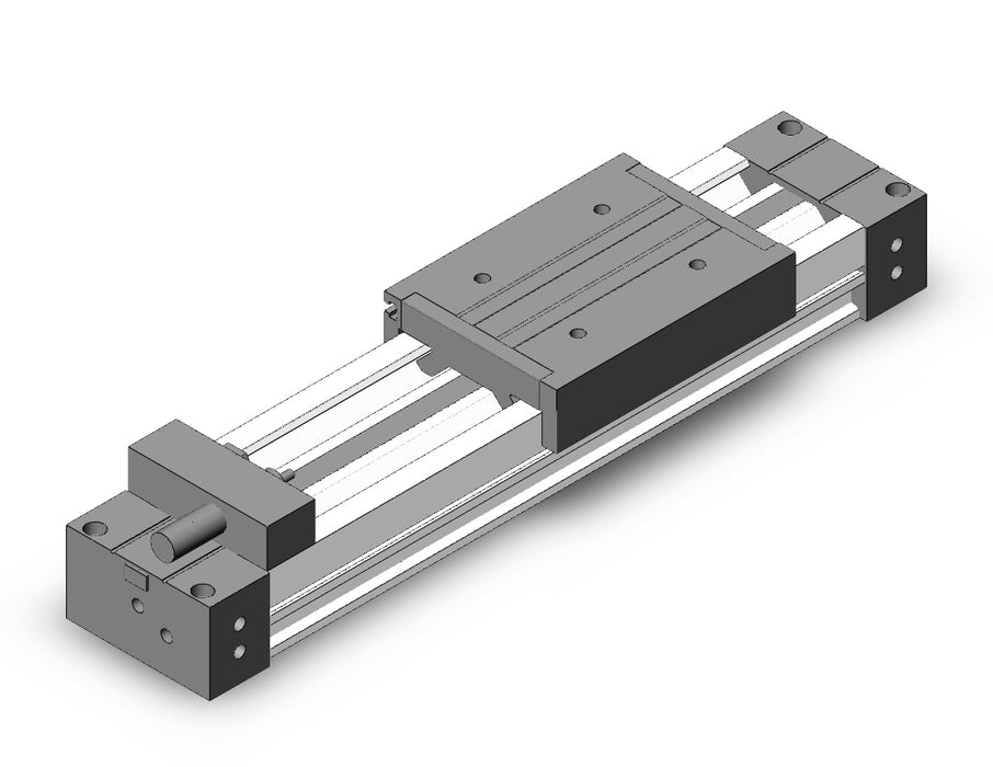 MY1M20G-100HS Slide Bearing Guide Type