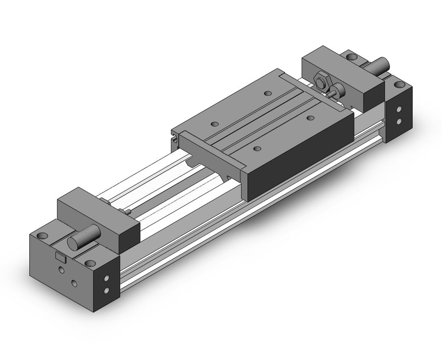 MY1M20G-100H Slide Bearing Guide Type