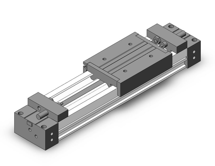MY1M20G-100L Slide Bearing Guide Type