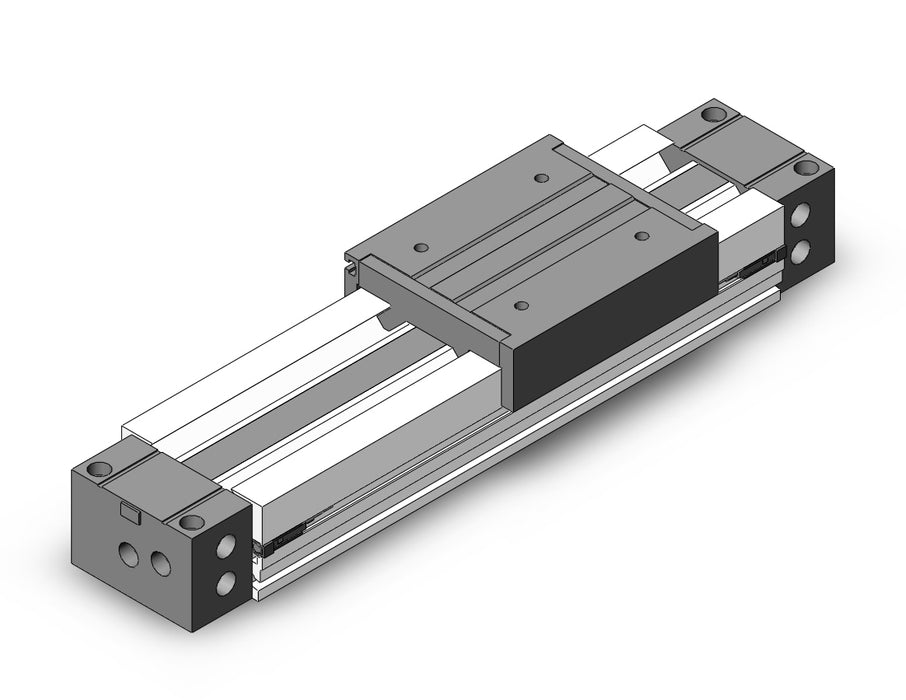 MY1M25-100-M9NM Slide Bearing Guide Type