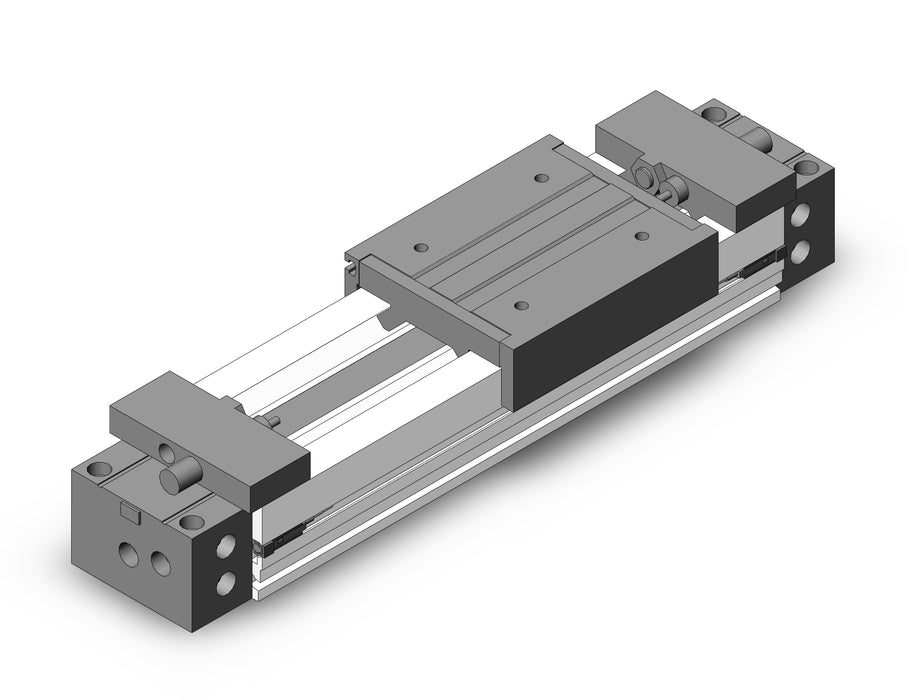 MY1M25-100L-M9NM Slide Bearing Guide Type