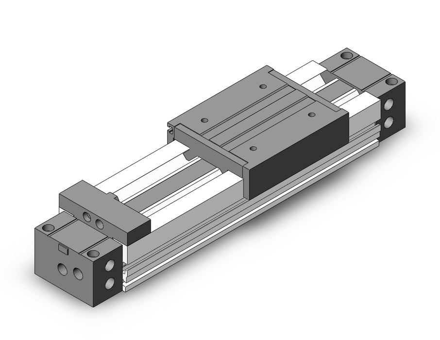MY1M25G-100AS Slide Bearing Guide Type