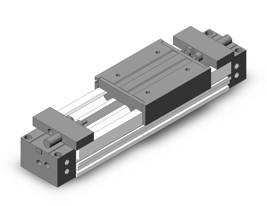 MY1M32-100L Slide Bearing Guide Type