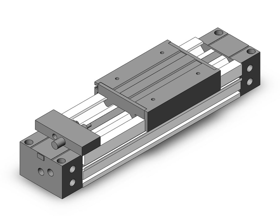 MY1M40-100LS Slide Bearing Guide Type