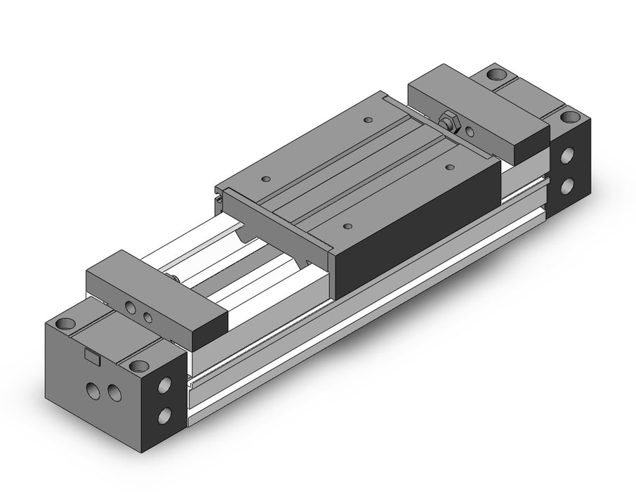 MY1M40TN-100A Slide Bearing Guide Type
