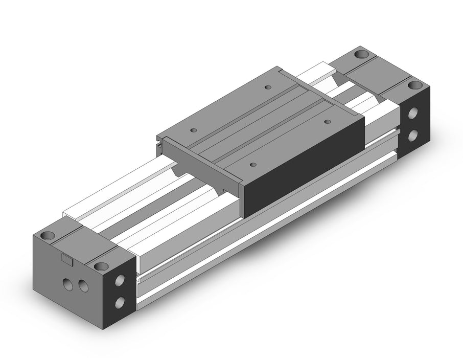 MY1M40TN-100 Slide Bearing Guide Type