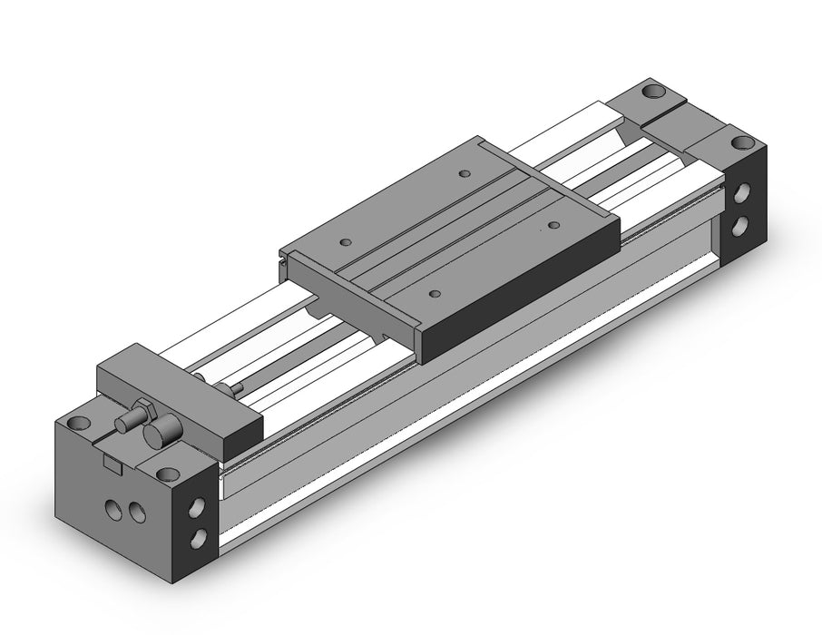 MY1M50-200LS Slide Bearing Guide Type