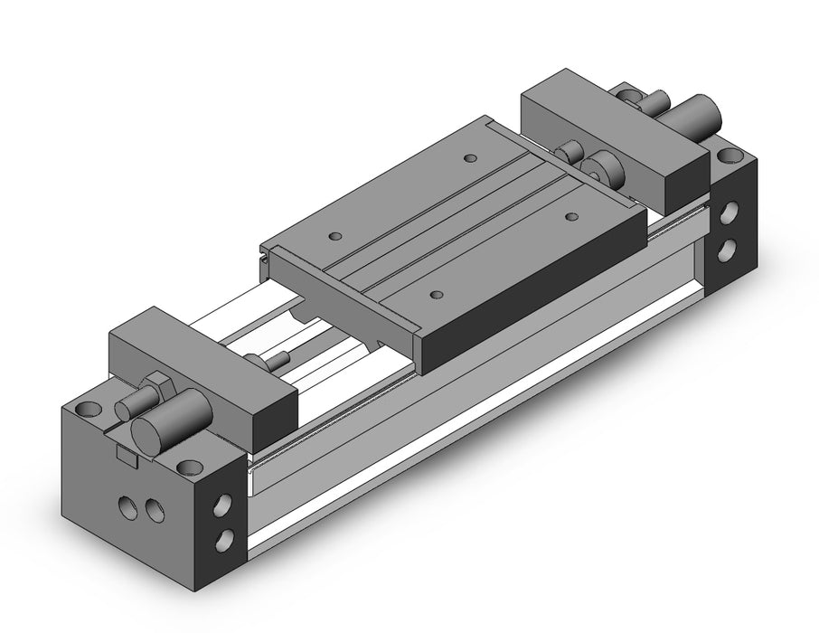 MY1M50TN-100H Slide Bearing Guide Type