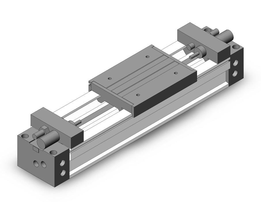 MY1M50TN-200H Slide Bearing Guide Type