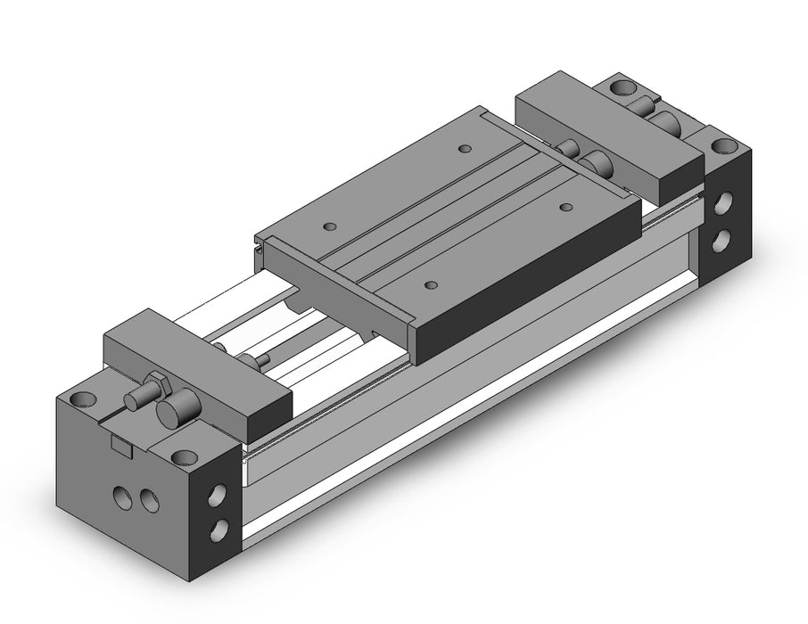 MY1M50TNG-100L-M9BZ Slide Bearing Guide Type