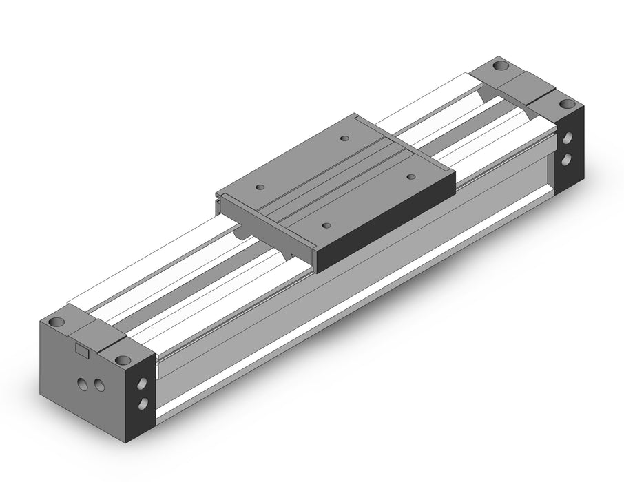 MY1M63-300 Slide Bearing Guide Type