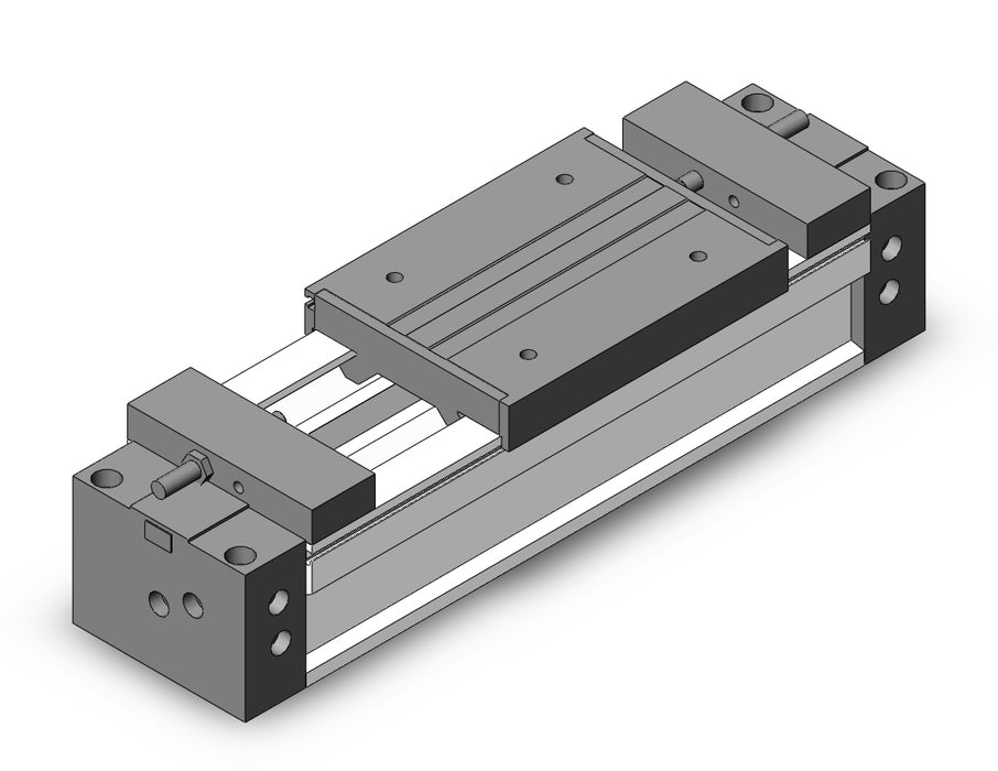 MY1M63TFG-100A Slide Bearing Guide Type