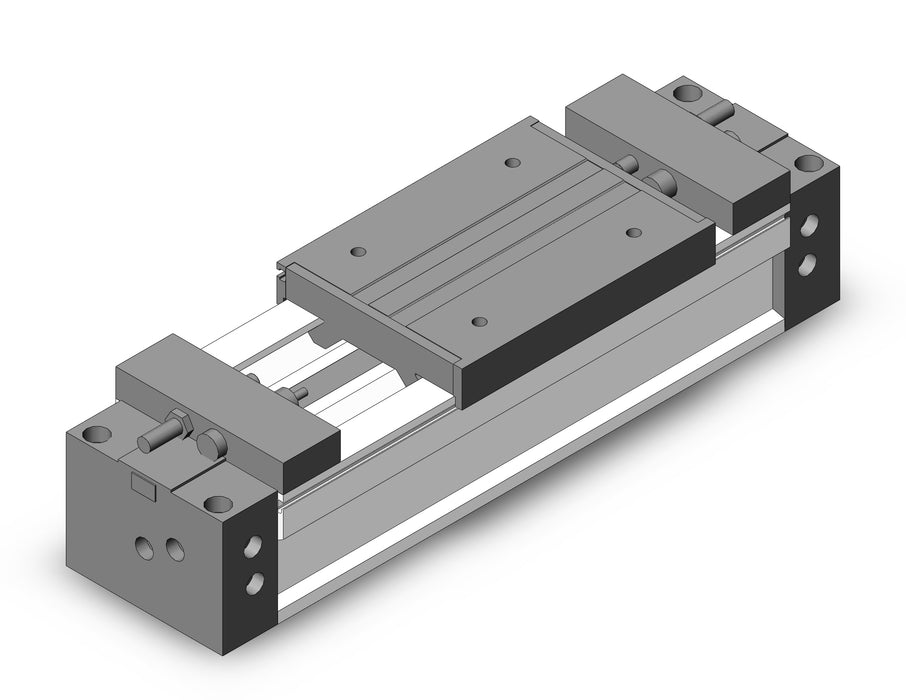 MY1M63TN-100L Slide Bearing Guide Type