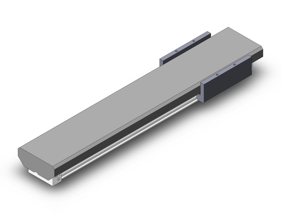 MY1MW16-300 Slide Bearing Guide Type
