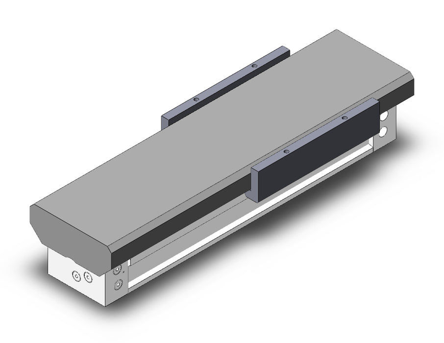 MY1MW50-200 Slide Bearing Guide Type