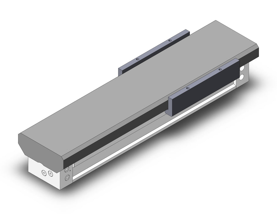 MY1MW50-300L Slide Bearing Guide Type