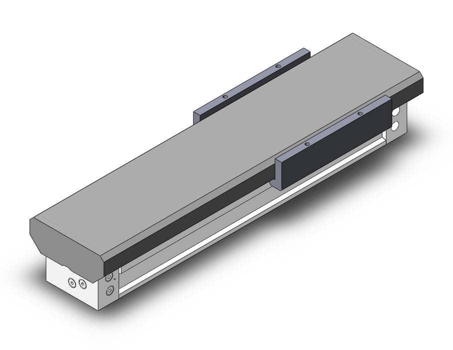 MY1MW50-300 Slide Bearing Guide Type