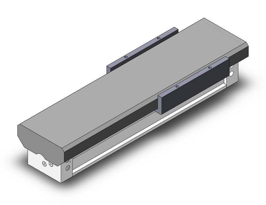 MY1MW63-300 Slide Bearing Guide Type