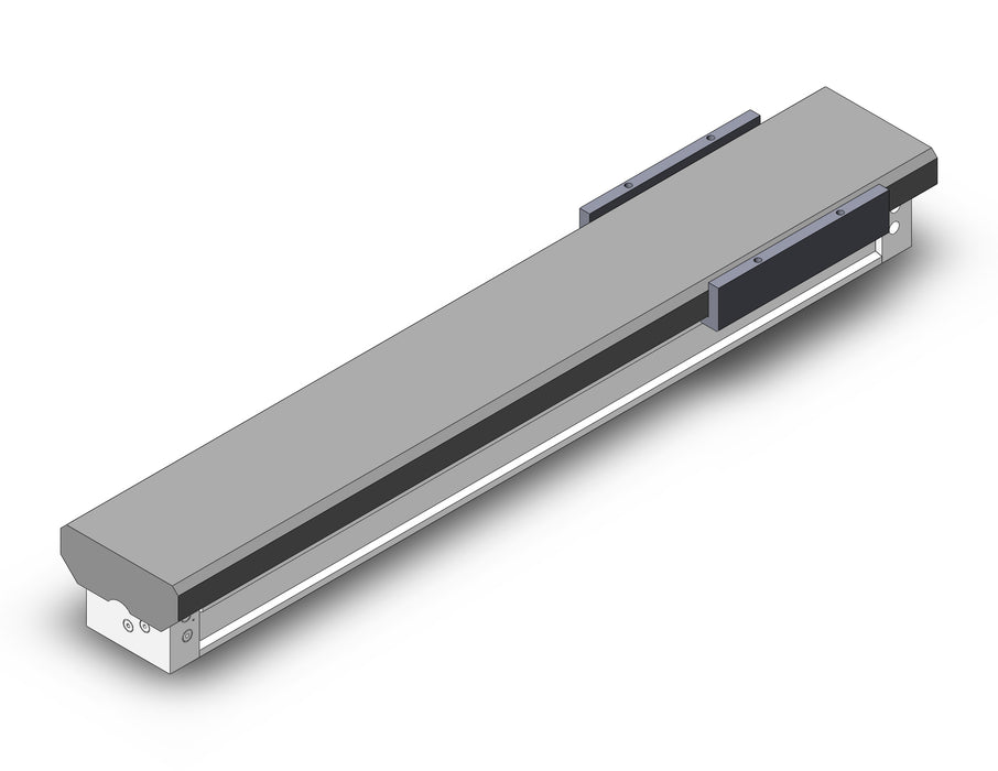 MY1MW63TF-800L Slide Bearing Guide Type