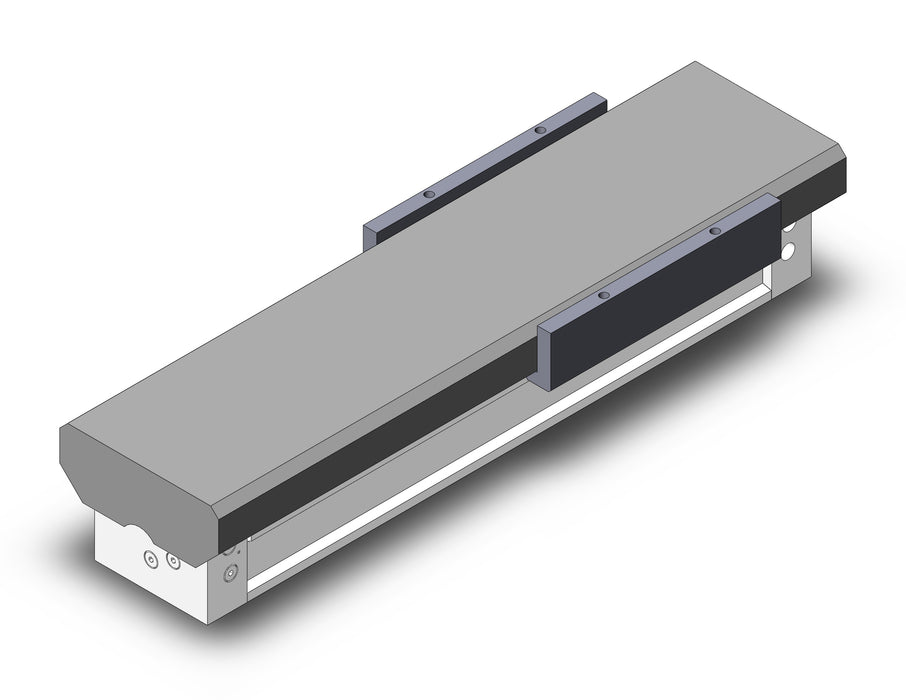 MY1MW63TN-300 Slide Bearing Guide Type
