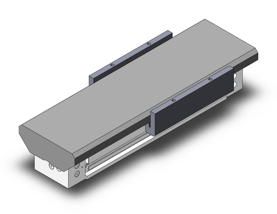 MY1MWK32TNG-100AL Slide Bearing Guide Type