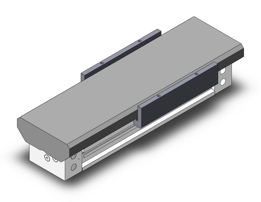 MY1MWK40TN-100 Slide Bearing Guide Type
