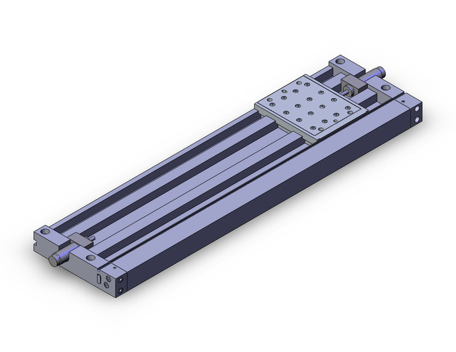 MY2HT25TNG-450H Cylinder, Rodless