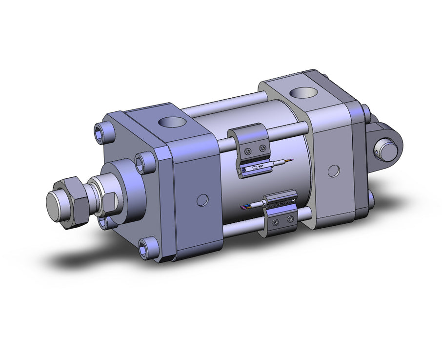 NCDA1D250-0100-M9PSAPC-XB5 Cylinder, NCA1, Tie Rod