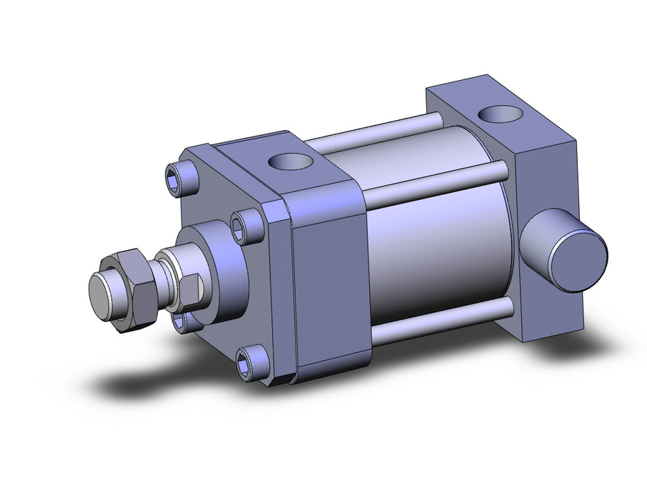 NCDA1J250-0100N-XB5 Cylinder, NCA1, Tie Rod
