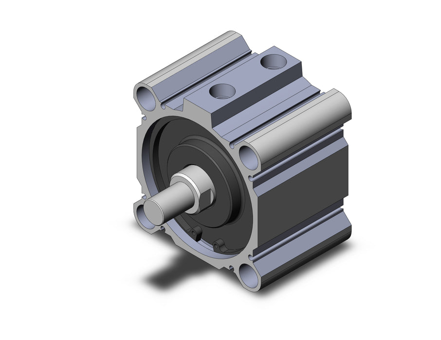 NCDQ2B100-20DMZ Compact Cylinder, NCQ2-Z