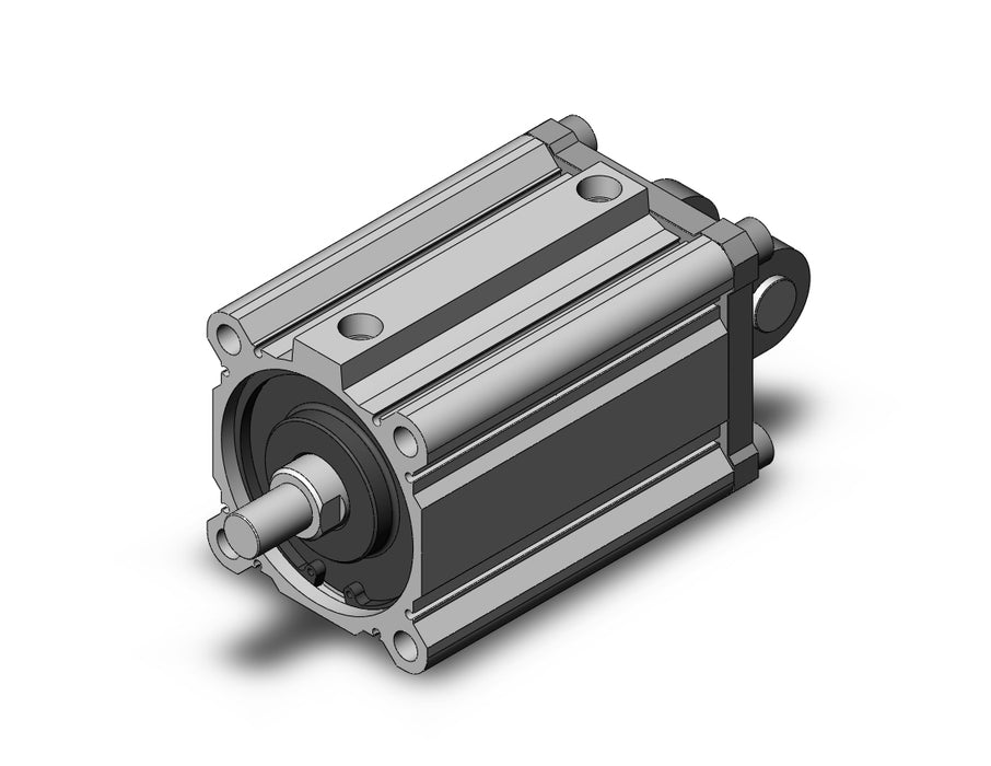 NCDQ2D100-100DMZ Compact Cylinder, NCQ2-Z
